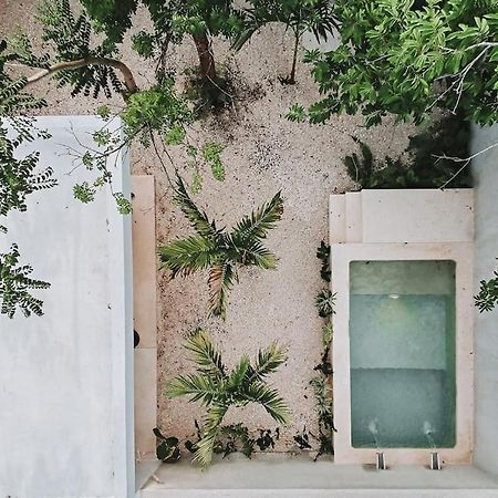 La Sultana Amazing New House With Pool Villa วัลลาโดลิด ภายนอก รูปภาพ