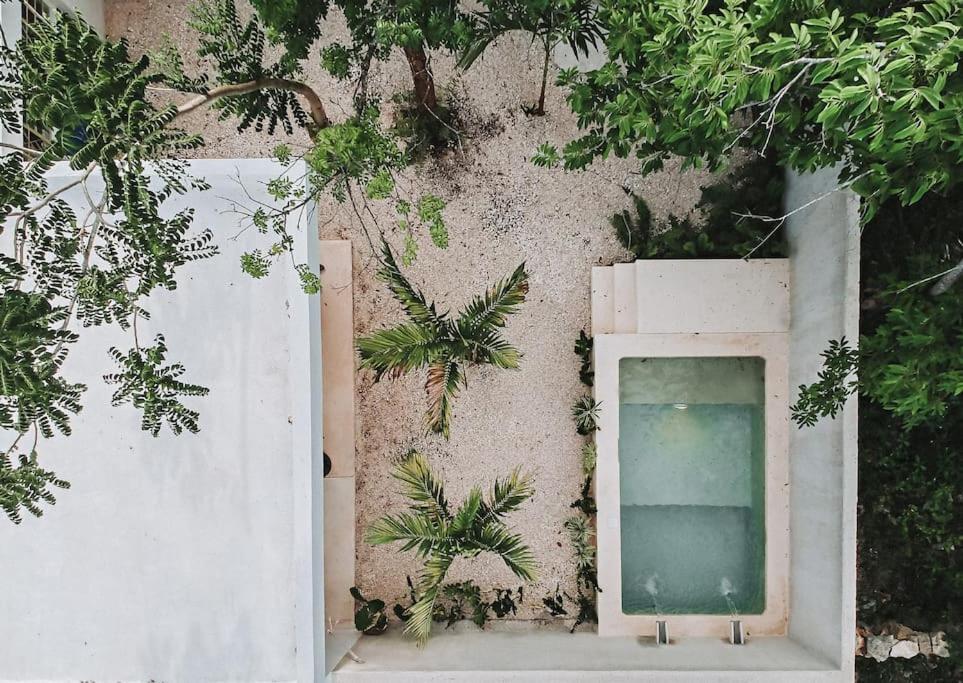 La Sultana Amazing New House With Pool Villa วัลลาโดลิด ภายนอก รูปภาพ