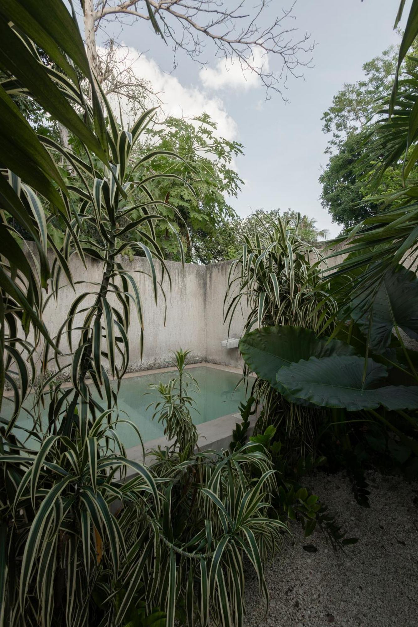 La Sultana Amazing New House With Pool Villa วัลลาโดลิด ภายนอก รูปภาพ