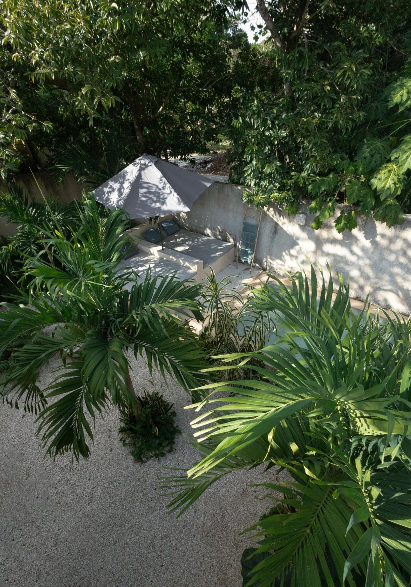 La Sultana Amazing New House With Pool Villa วัลลาโดลิด ภายนอก รูปภาพ