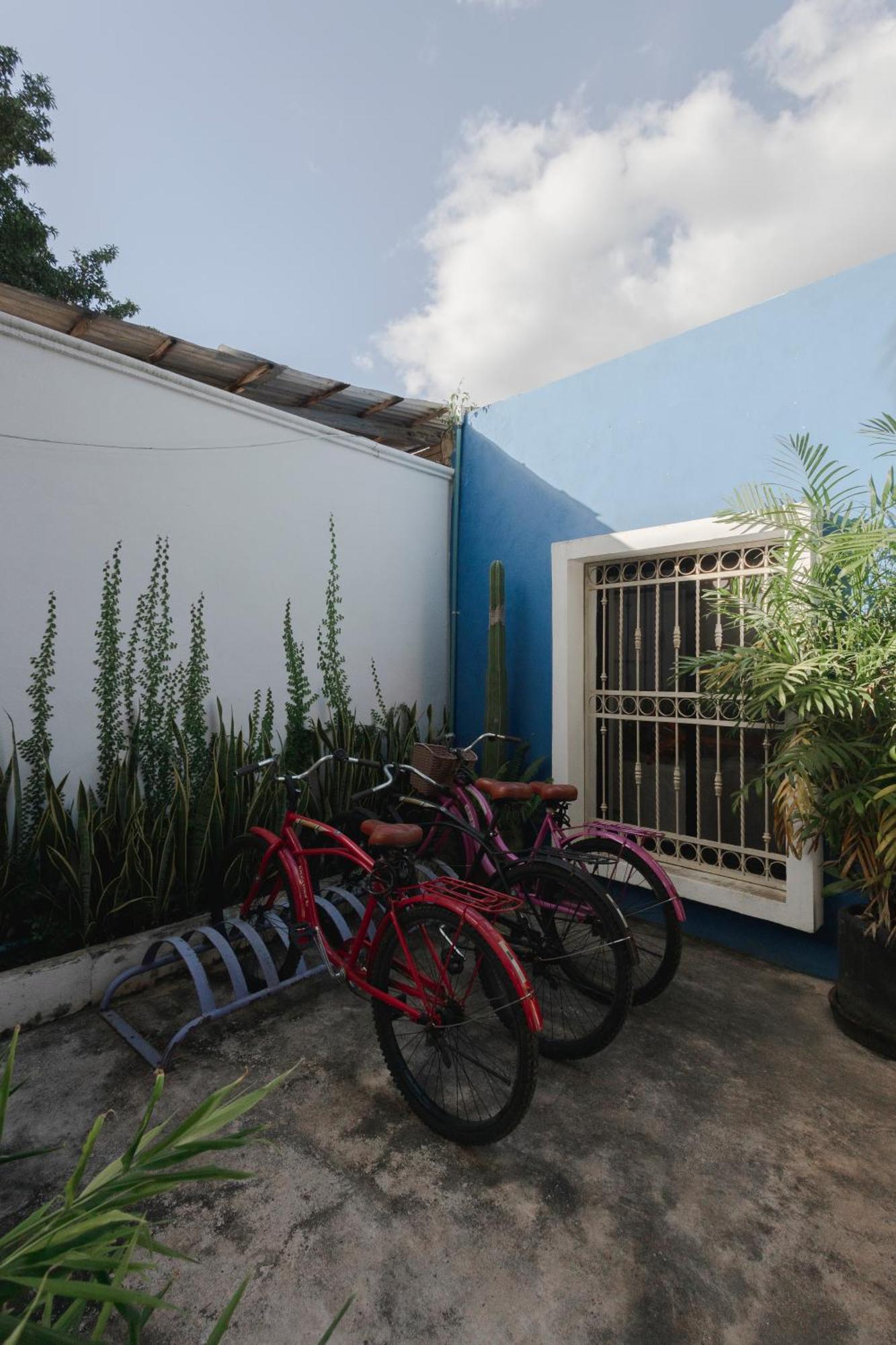La Sultana Amazing New House With Pool Villa วัลลาโดลิด ภายนอก รูปภาพ